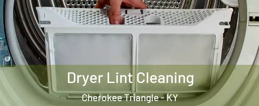 Dryer Lint Cleaning Cherokee Triangle - KY