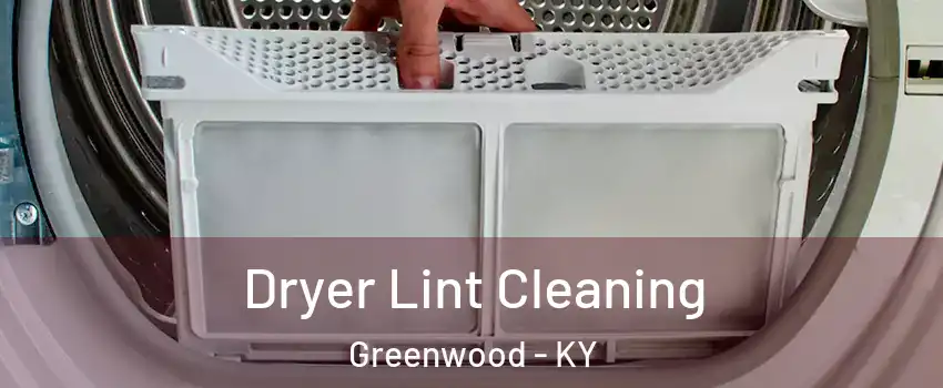 Dryer Lint Cleaning Greenwood - KY