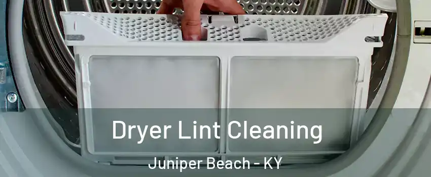 Dryer Lint Cleaning Juniper Beach - KY