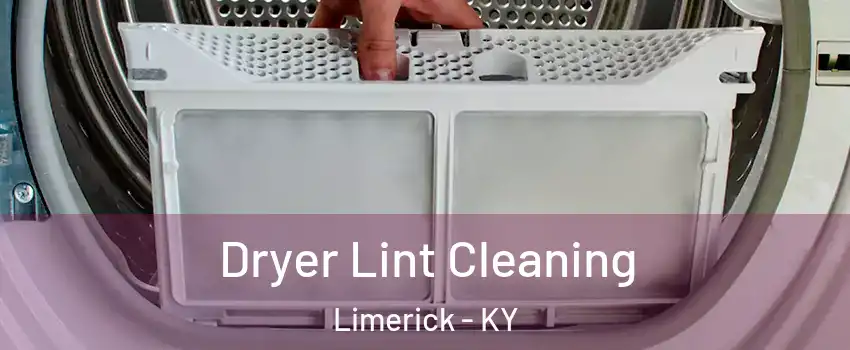 Dryer Lint Cleaning Limerick - KY