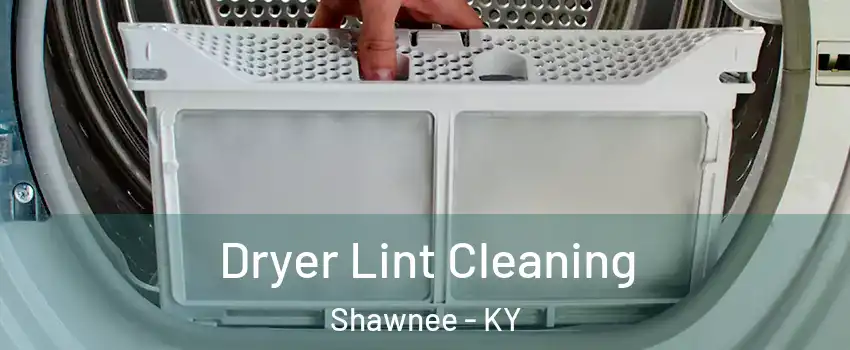 Dryer Lint Cleaning Shawnee - KY