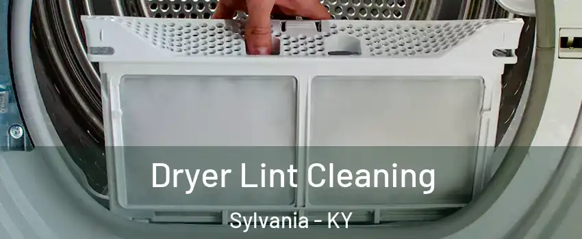 Dryer Lint Cleaning Sylvania - KY