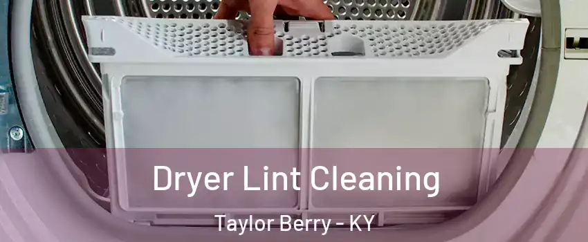 Dryer Lint Cleaning Taylor Berry - KY