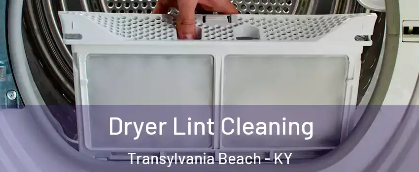 Dryer Lint Cleaning Transylvania Beach - KY