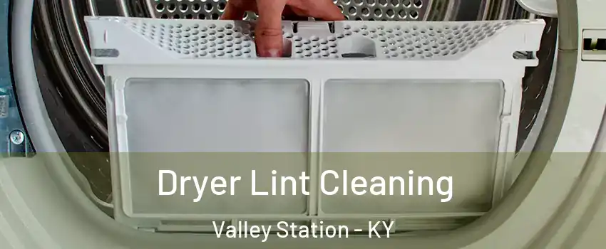 Dryer Lint Cleaning Valley Station - KY