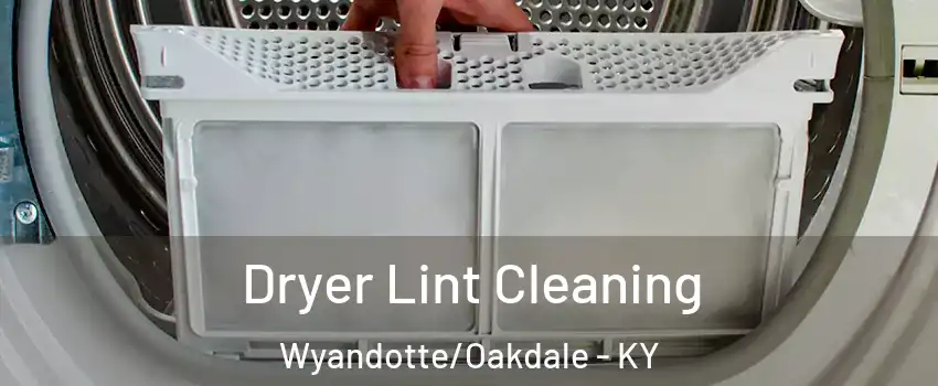 Dryer Lint Cleaning Wyandotte/Oakdale - KY