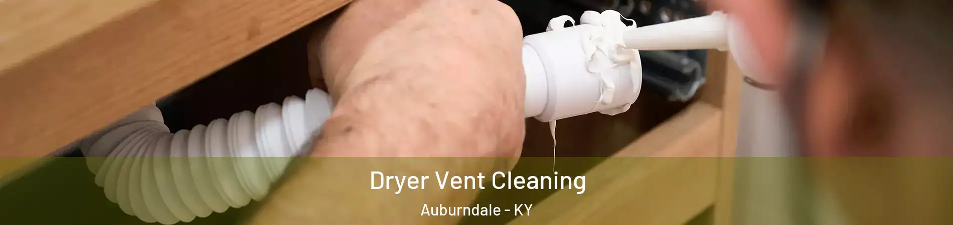 Dryer Vent Cleaning Auburndale - KY