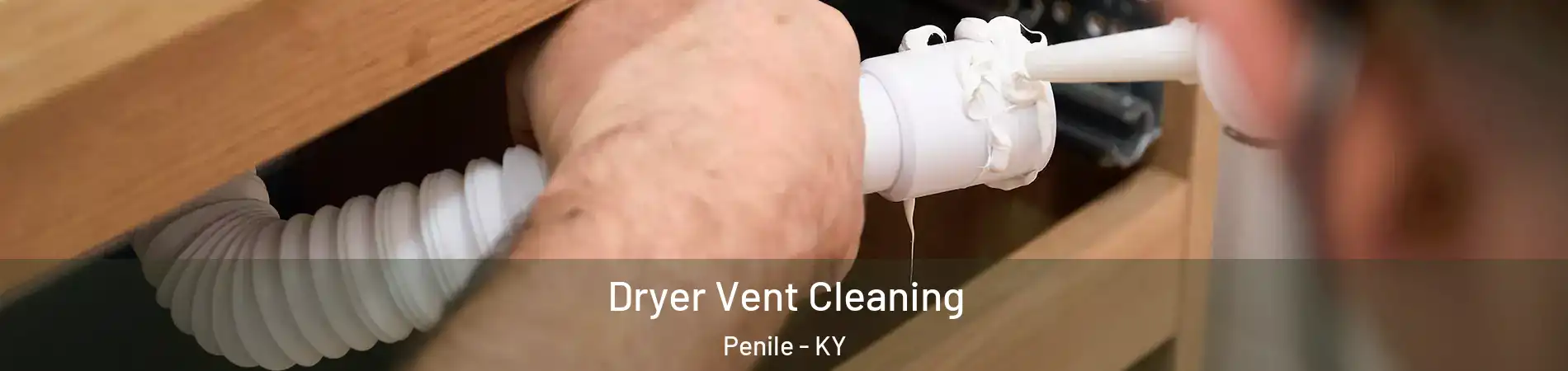 Dryer Vent Cleaning Penile - KY