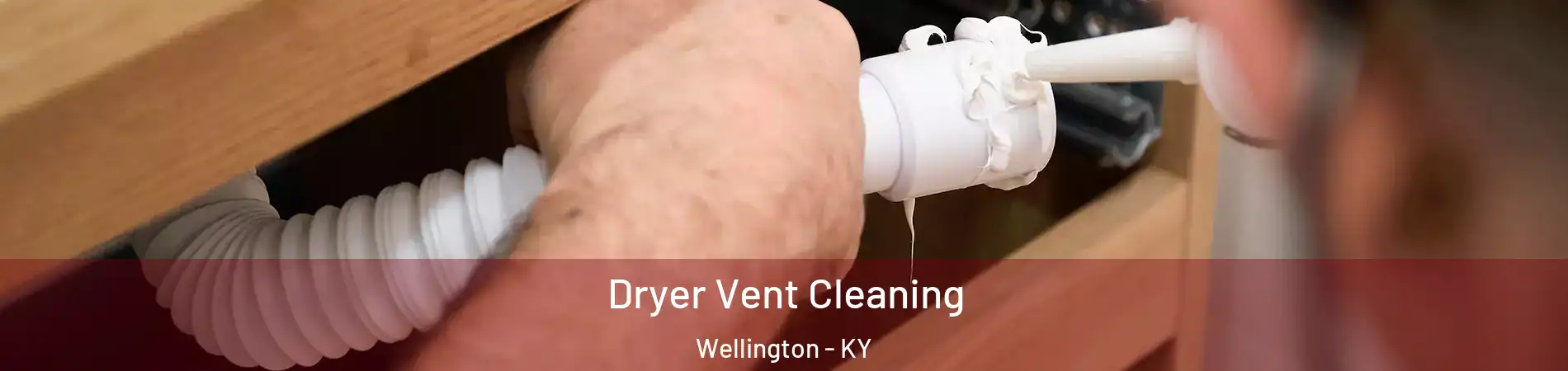 Dryer Vent Cleaning Wellington - KY