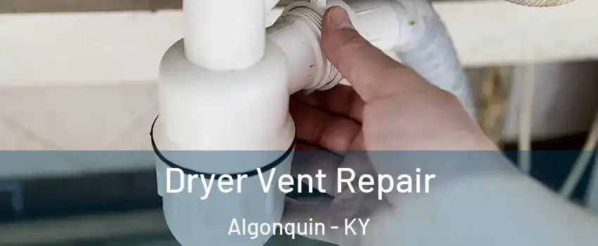 Dryer Vent Repair Algonquin - KY