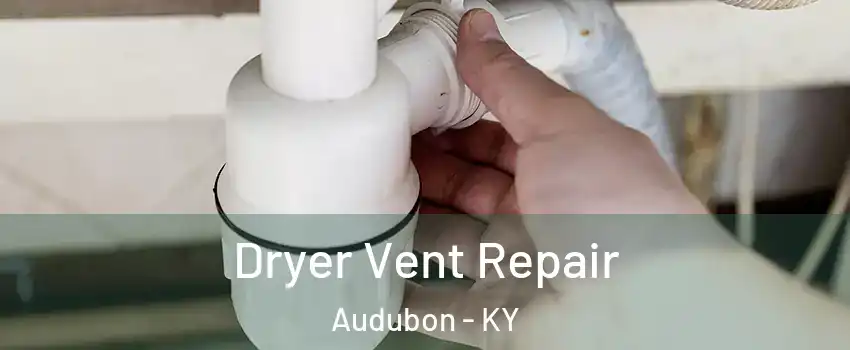 Dryer Vent Repair Audubon - KY