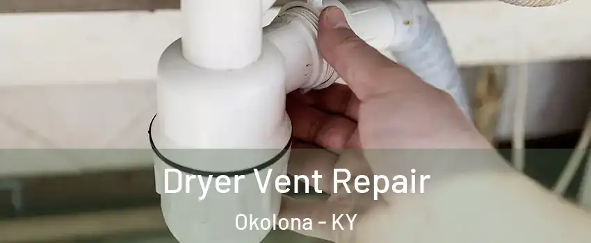 Dryer Vent Repair Okolona - KY