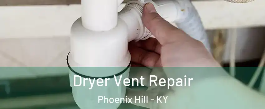 Dryer Vent Repair Phoenix Hill - KY