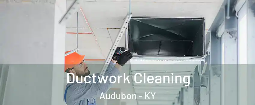 Ductwork Cleaning Audubon - KY