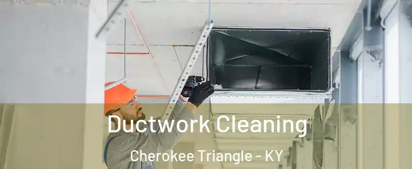 Ductwork Cleaning Cherokee Triangle - KY