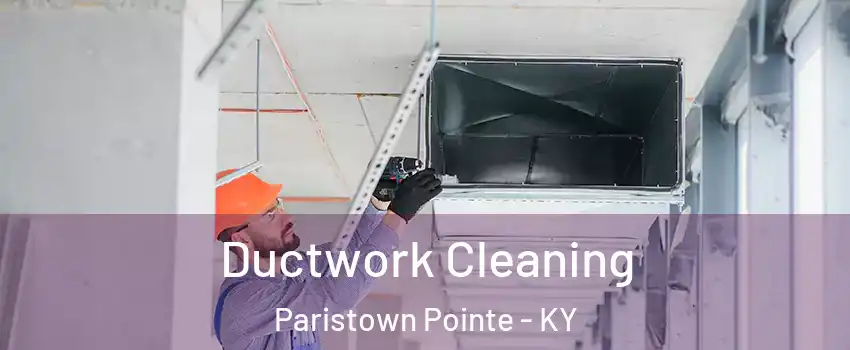 Ductwork Cleaning Paristown Pointe - KY