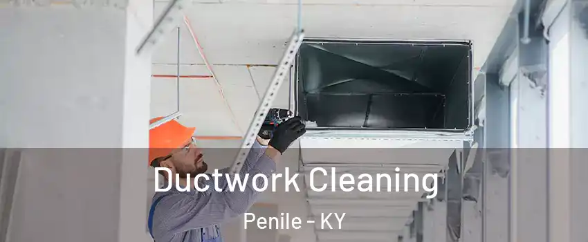 Ductwork Cleaning Penile - KY