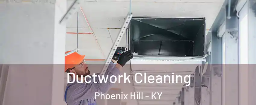 Ductwork Cleaning Phoenix Hill - KY