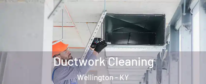 Ductwork Cleaning Wellington - KY