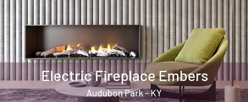 Electric Fireplace Embers Audubon Park - KY