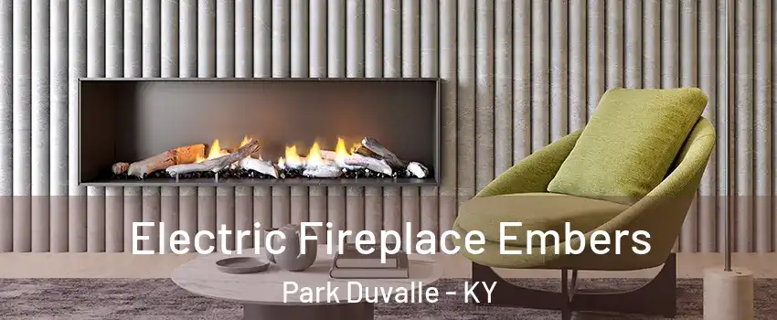 Electric Fireplace Embers Park Duvalle - KY