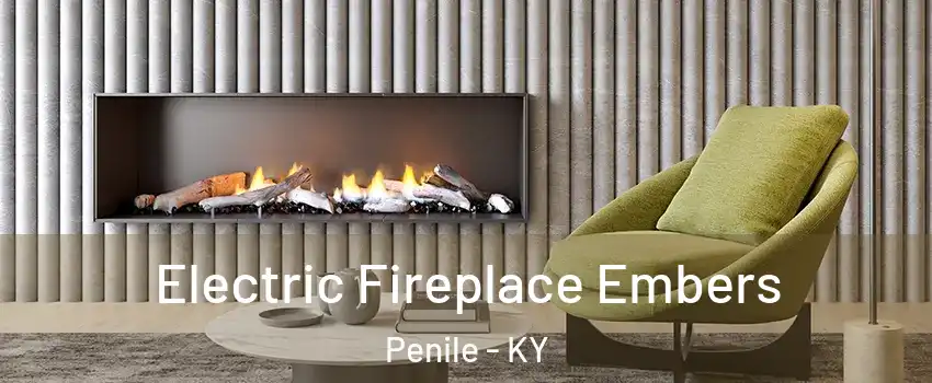 Electric Fireplace Embers Penile - KY