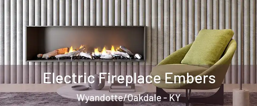 Electric Fireplace Embers Wyandotte/Oakdale - KY