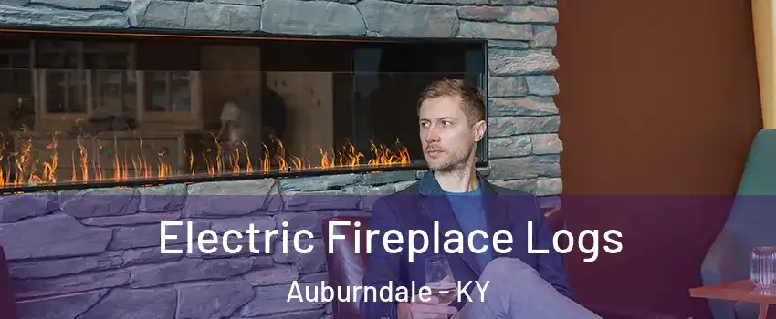 Electric Fireplace Logs Auburndale - KY