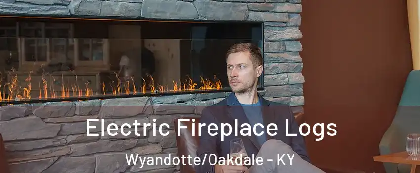 Electric Fireplace Logs Wyandotte/Oakdale - KY