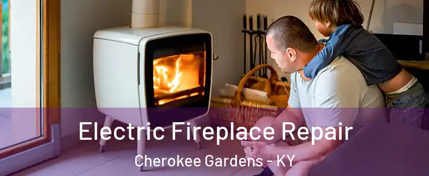 Electric Fireplace Repair Cherokee Gardens - KY