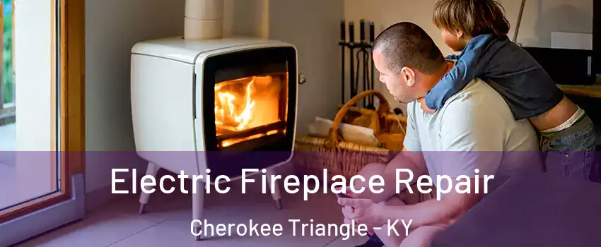 Electric Fireplace Repair Cherokee Triangle - KY