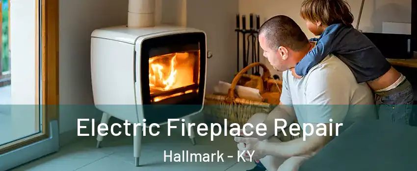 Electric Fireplace Repair Hallmark - KY