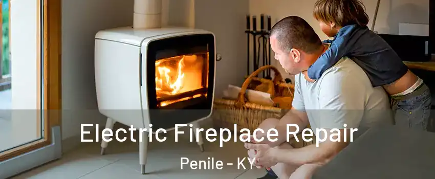 Electric Fireplace Repair Penile - KY