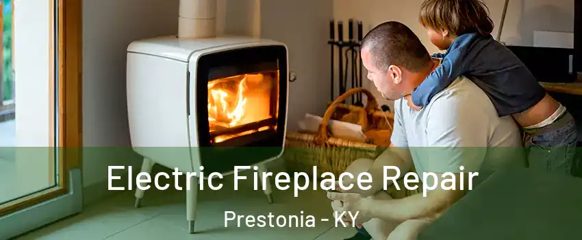 Electric Fireplace Repair Prestonia - KY