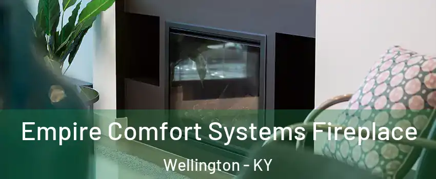 Empire Comfort Systems Fireplace Wellington - KY