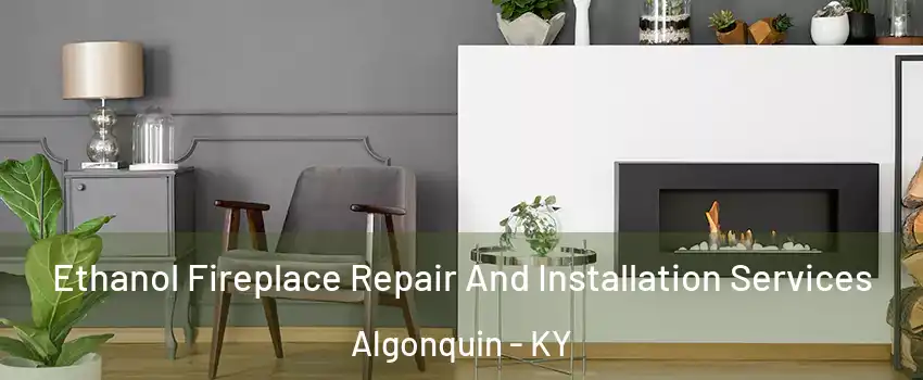 Ethanol Fireplace Repair And Installation Services Algonquin - KY