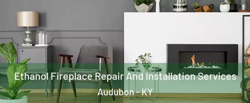 Ethanol Fireplace Repair And Installation Services Audubon - KY