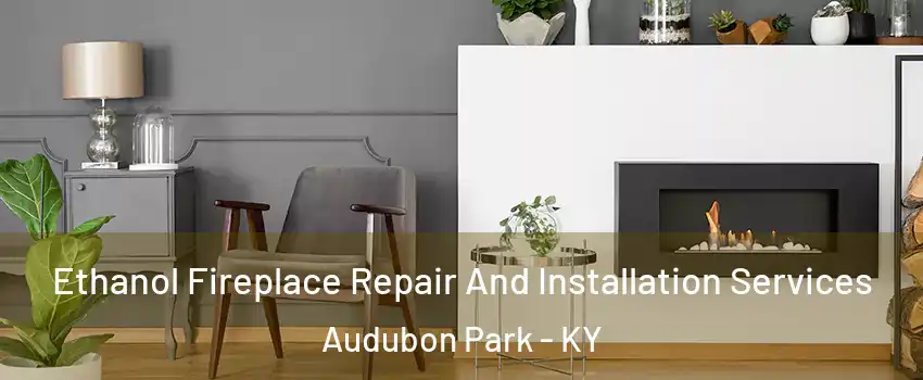 Ethanol Fireplace Repair And Installation Services Audubon Park - KY