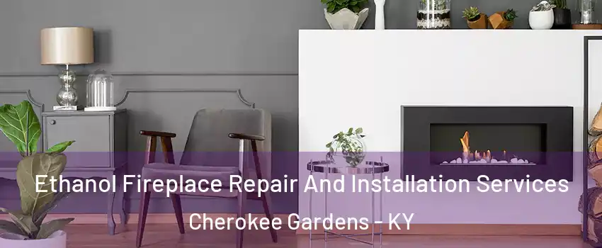 Ethanol Fireplace Repair And Installation Services Cherokee Gardens - KY