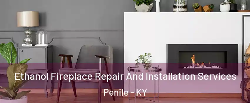 Ethanol Fireplace Repair And Installation Services Penile - KY