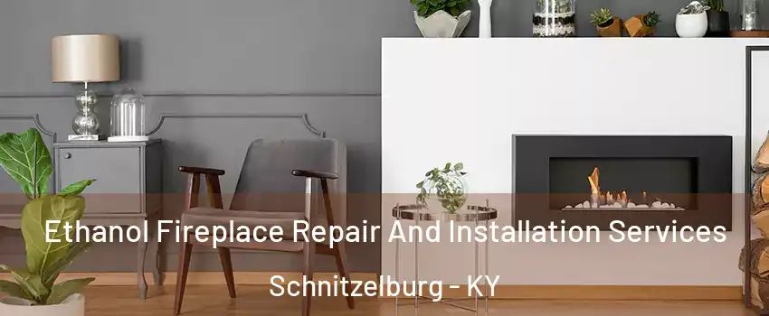 Ethanol Fireplace Repair And Installation Services Schnitzelburg - KY