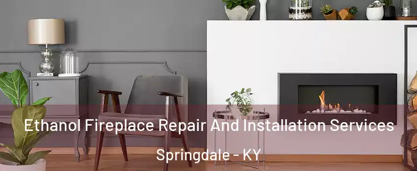 Ethanol Fireplace Repair And Installation Services Springdale - KY