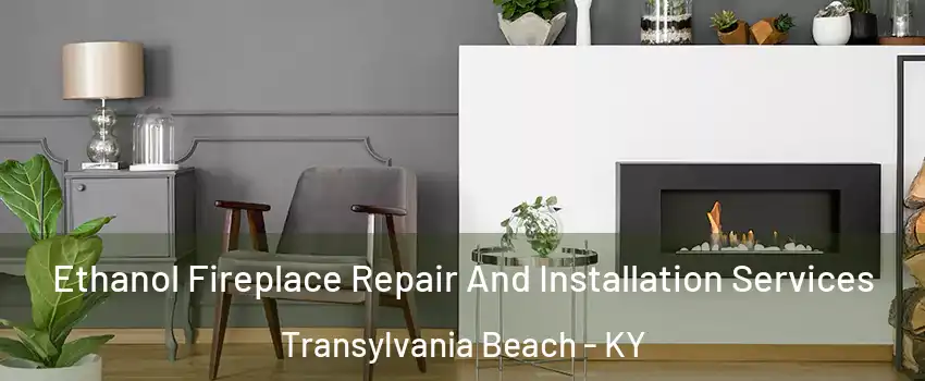 Ethanol Fireplace Repair And Installation Services Transylvania Beach - KY