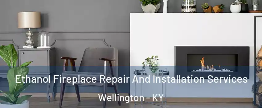 Ethanol Fireplace Repair And Installation Services Wellington - KY