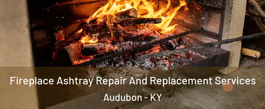 Fireplace Ashtray Repair And Replacement Services Audubon - KY