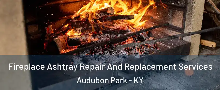 Fireplace Ashtray Repair And Replacement Services Audubon Park - KY