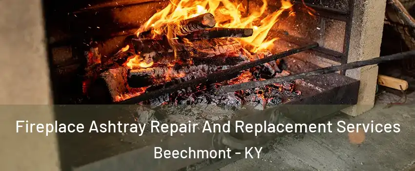 Fireplace Ashtray Repair And Replacement Services Beechmont - KY