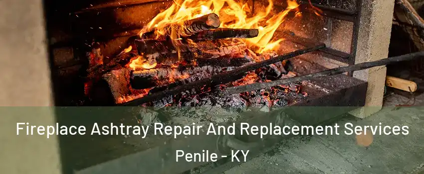 Fireplace Ashtray Repair And Replacement Services Penile - KY