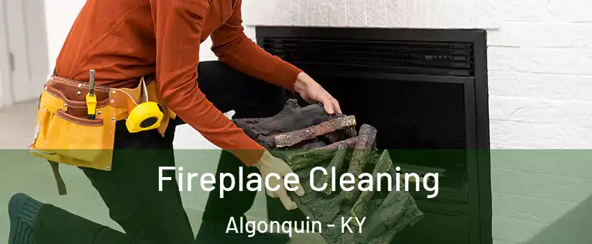 Fireplace Cleaning Algonquin - KY