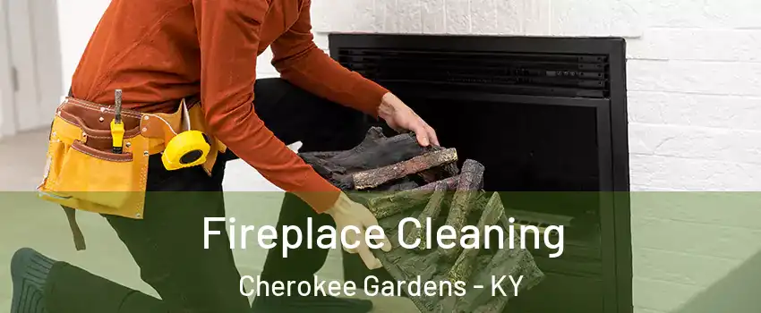 Fireplace Cleaning Cherokee Gardens - KY